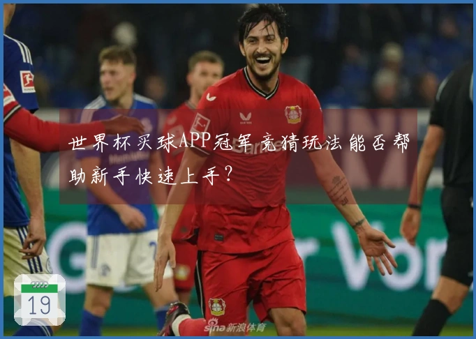 世界杯买球APP冠军竞猜玩法能否帮助新手快速上手？